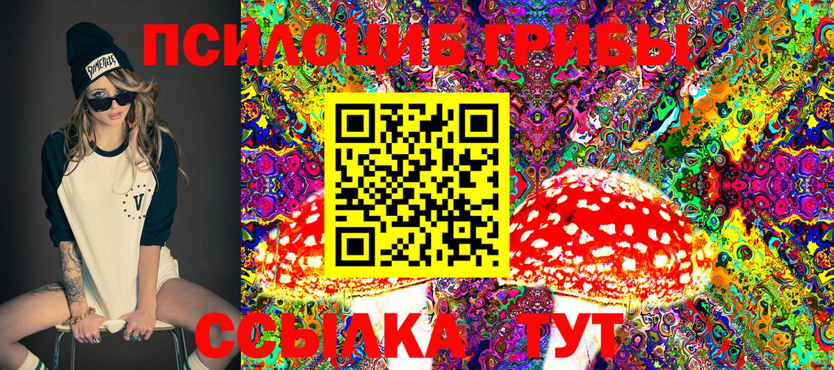 Псилоцибиновые грибы мицелий Ачинск